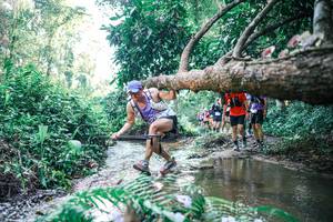 BIB: 
                            <button type="button" onclick="openModal(25443604)" class="btn btn-primary btn-sm float-right btn-popup" data-toggle="modal" data-target=".modal-high-quality">
                        <i class="fas fa-shopping-cart"></i> Add to Cart
                    </button>
                                            <button type="button" onclick="isThisMe(25443604, true)" class="btn btn-success btn-sm float-right btn-popup btn-isme hidden" data-toggle="tooltip" data-placement="bottom" title="นี่คือรูปของคุณใช่ไหม คลิกที่นี่เพื่อเอาเข้าอัลบั้ม">
                        <i class="fas fa-plus"></i> Add to album
                    </button>
                    <button type="button" onclick="isThisMe(25443604, false)" class="btn btn-warning btn-sm float-right btn-popup btn-isnotme hidden">
                        <i class="fas fa-ban"></i> Remove from album
                    </button>